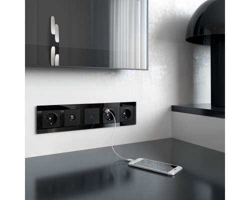 Купить Розетка Werkel W1171508| VIVID-LIGHT.RU