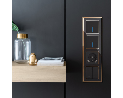 Купить Розетка Werkel W1171508| VIVID-LIGHT.RU