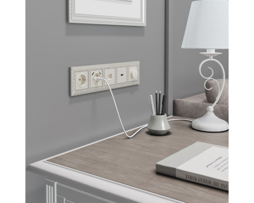 Сделать заказ Розетка Werkel W1181013| VIVID-LIGHT.RU