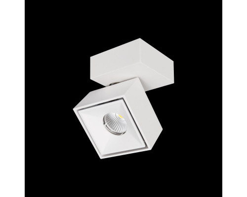 Заказать Спот Citilux CL558020N| VIVID-LIGHT.RU