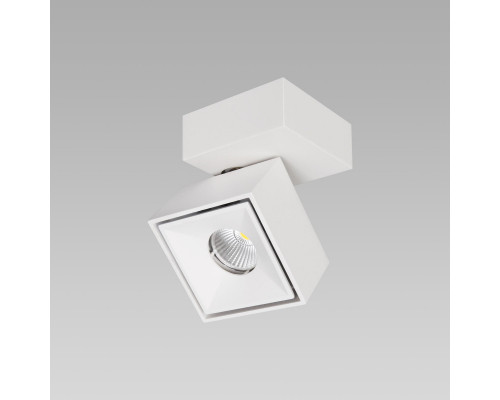 Заказать Спот Citilux CL558020N| VIVID-LIGHT.RU