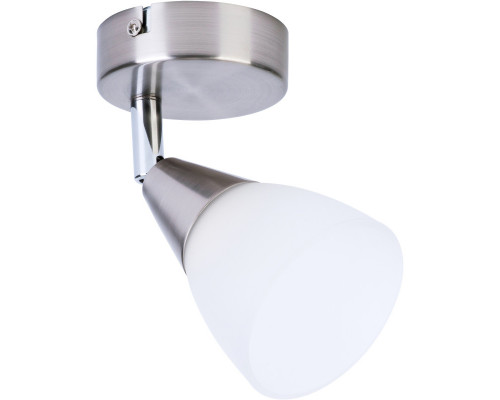 Оформить заказ Спот TOPLIGHT TL1232Y-01SN| VIVID-LIGHT.RU