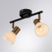 Купить Спот ARTE Lamp A3117PL-2BK| VIVID-LIGHT.RU