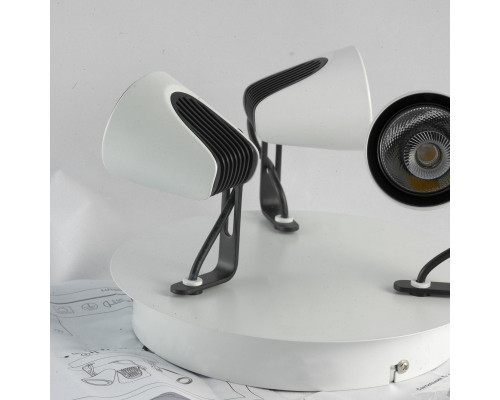 Заказать Спот LOFT LSN-4101-03| VIVID-LIGHT.RU