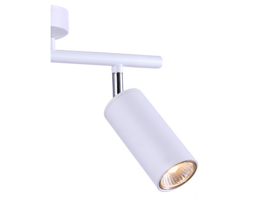 Купить Спот Natali Kovaltseva TRINITY 76055/2W WHITE| VIVID-LIGHT.RU