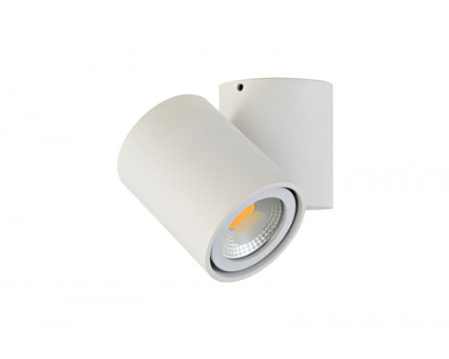 Сделать заказ Спот Donolux A1594White/RAL9003| VIVID-LIGHT.RU