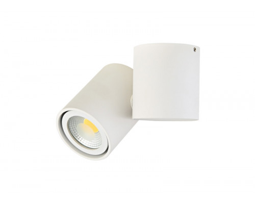 Сделать заказ Спот Donolux A1594White/RAL9003| VIVID-LIGHT.RU