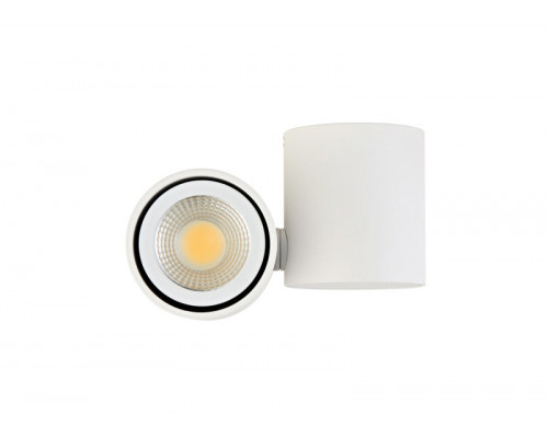 Сделать заказ Спот Donolux A1594White/RAL9003| VIVID-LIGHT.RU