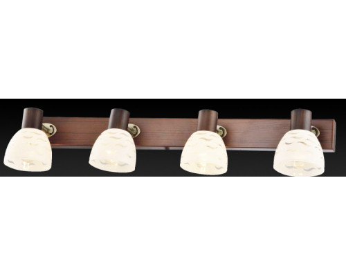 Сделать заказ Спот TOPLIGHT TL3730Y-04BB| VIVID-LIGHT.RU