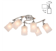 Спот Citilux CL119260