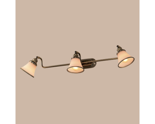 Оформить заказ Спот Citilux CL511533| VIVID-LIGHT.RU