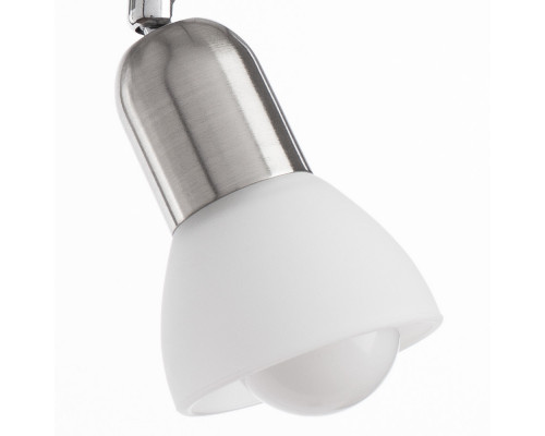 Сделать заказ Спот ARTE Lamp A3115PL-2SS| VIVID-LIGHT.RU