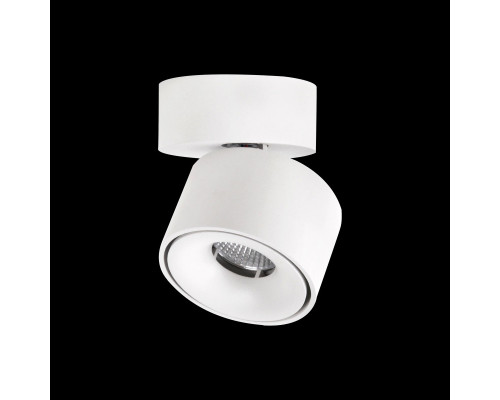 Оформить заказ Спот Citilux CL558010N| VIVID-LIGHT.RU