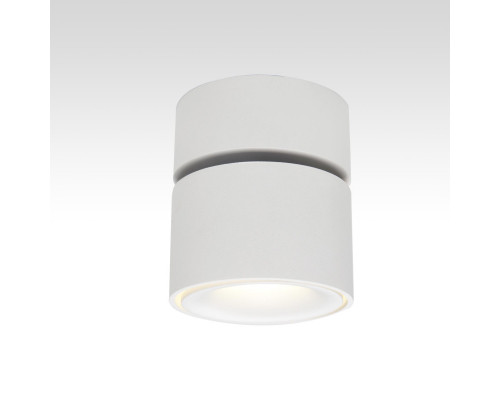 Оформить заказ Спот Citilux CL558010N| VIVID-LIGHT.RU