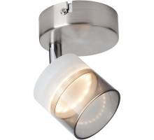 Спот TOPLIGHT TL1230Y-01SN