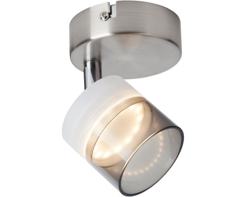 Заказать Спот TOPLIGHT TL1230Y-01SN| VIVID-LIGHT.RU