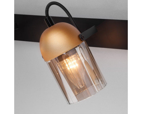 Оформить заказ Спот Eurosvet 20122/3 черный/золото| VIVID-LIGHT.RU