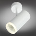 Купить Спот Omnilux OML-102609-20| VIVID-LIGHT.RU