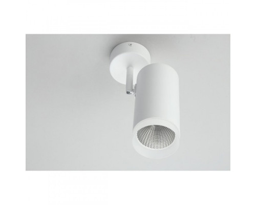 Купить Спот Omnilux OML-102609-20| VIVID-LIGHT.RU