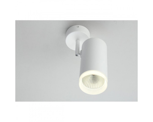 Купить Спот Omnilux OML-102609-20| VIVID-LIGHT.RU