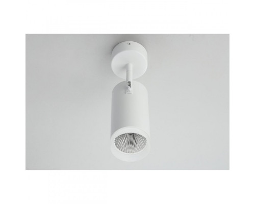 Купить Спот Omnilux OML-102609-20| VIVID-LIGHT.RU