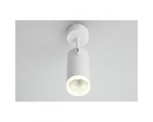 Купить Спот Omnilux OML-102609-20| VIVID-LIGHT.RU