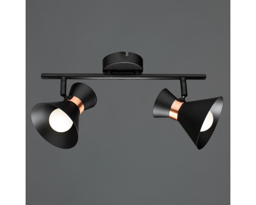 Купить Спот ARTE Lamp A1406AP-2BK| VIVID-LIGHT.RU
