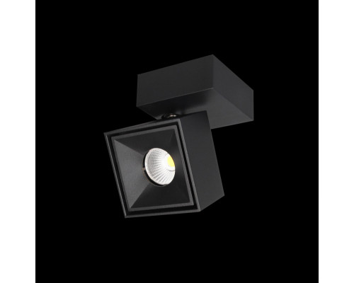 Купить Спот Citilux CL558021N| VIVID-LIGHT.RU