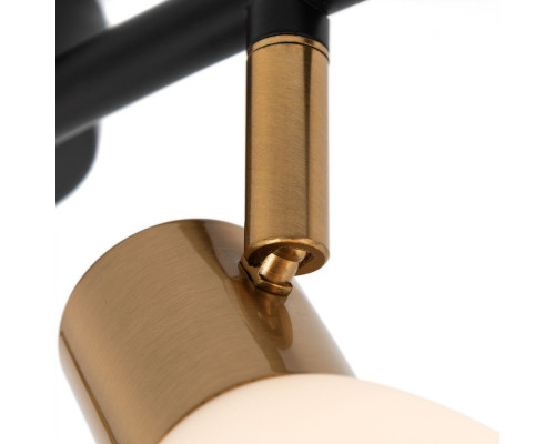 Оформить заказ Спот ARTE Lamp A3117PL-4BK| VIVID-LIGHT.RU