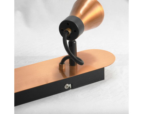 Заказать Спот LOFT LSL-6801-02| VIVID-LIGHT.RU