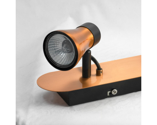 Заказать Спот LOFT LSL-6801-02| VIVID-LIGHT.RU