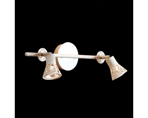 Заказать Спот Citilux CL519525| VIVID-LIGHT.RU