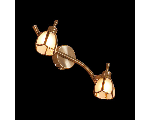 Оформить заказ Спот Citilux CL522521| VIVID-LIGHT.RU