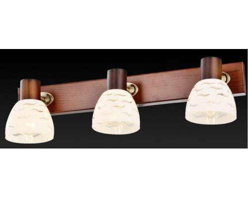 Заказать Спот TOPLIGHT TL3730Y-03BB| VIVID-LIGHT.RU