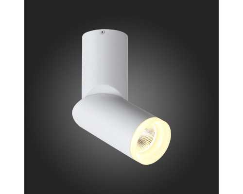 Купить Спот ST-Luce ST107.502.10| VIVID-LIGHT.RU