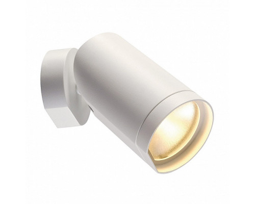 Сделать заказ Спот SLV 156421| VIVID-LIGHT.RU