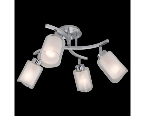 Оформить заказ Спот Citilux CL169141| VIVID-LIGHT.RU