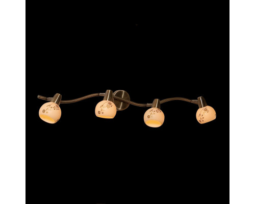 Оформить заказ Спот Citilux CL520543| VIVID-LIGHT.RU