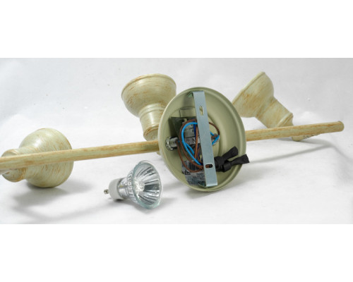 Сделать заказ Спот Lussole LSL-2501-03| VIVID-LIGHT.RU