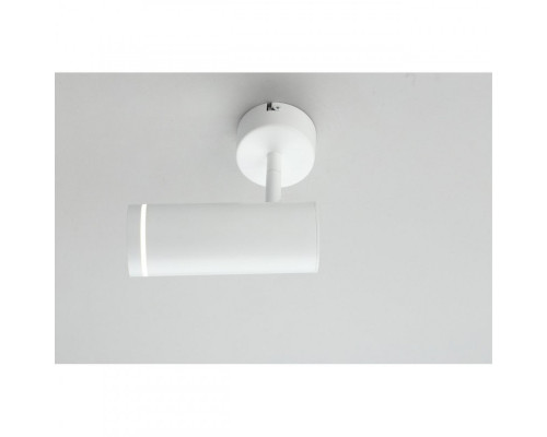 Оформить заказ Спот Omnilux OML-102219-12| VIVID-LIGHT.RU