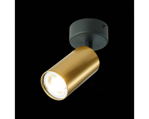 Оформить заказ Спот ST-Luce ST303.202.01| VIVID-LIGHT.RU