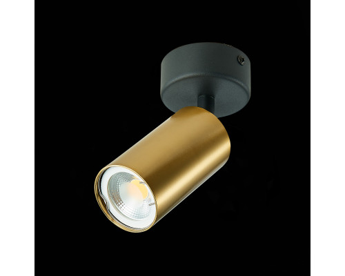 Оформить заказ Спот ST-Luce ST303.202.01| VIVID-LIGHT.RU