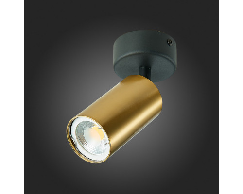 Оформить заказ Спот ST-Luce ST303.202.01| VIVID-LIGHT.RU