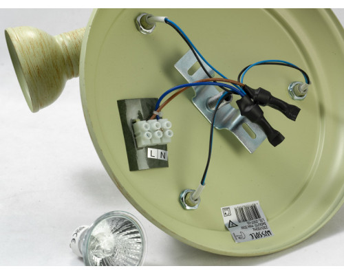 Оформить заказ Спот Lussole LSL-2507-03| VIVID-LIGHT.RU
