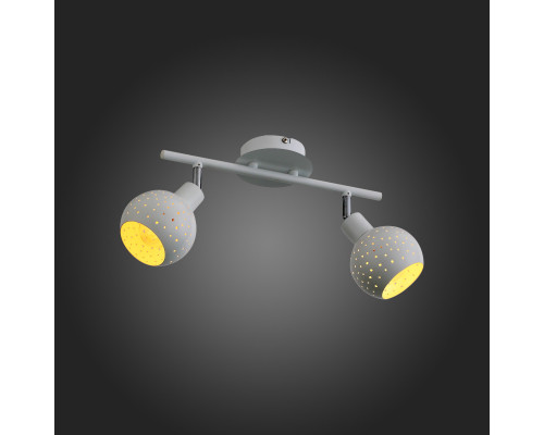 Сделать заказ Спот ST-Luce SL402.501.02| VIVID-LIGHT.RU