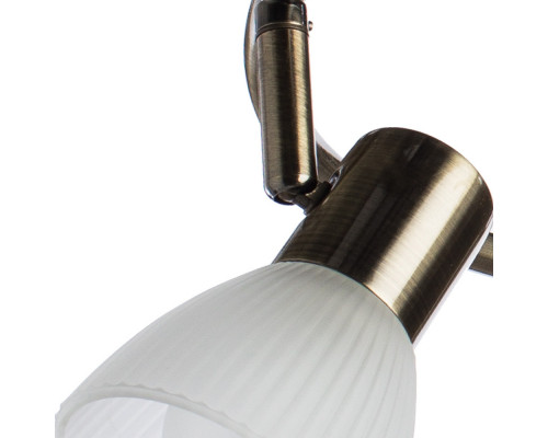 Заказать Спот ARTE Lamp A5062PL-3AB| VIVID-LIGHT.RU