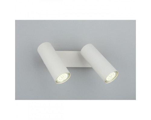 Заказать Спот Omnilux OML-20201-02| VIVID-LIGHT.RU