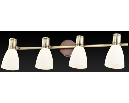 Заказать Спот TOPLIGHT TL3720Y-04BB| VIVID-LIGHT.RU