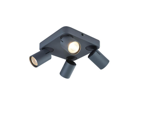 Сделать заказ Спот Vele Luce VL8067S04| VIVID-LIGHT.RU