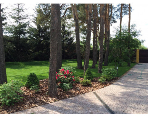 Заказать Садовый светильник LD-Lighting LD-В8075| VIVID-LIGHT.RU